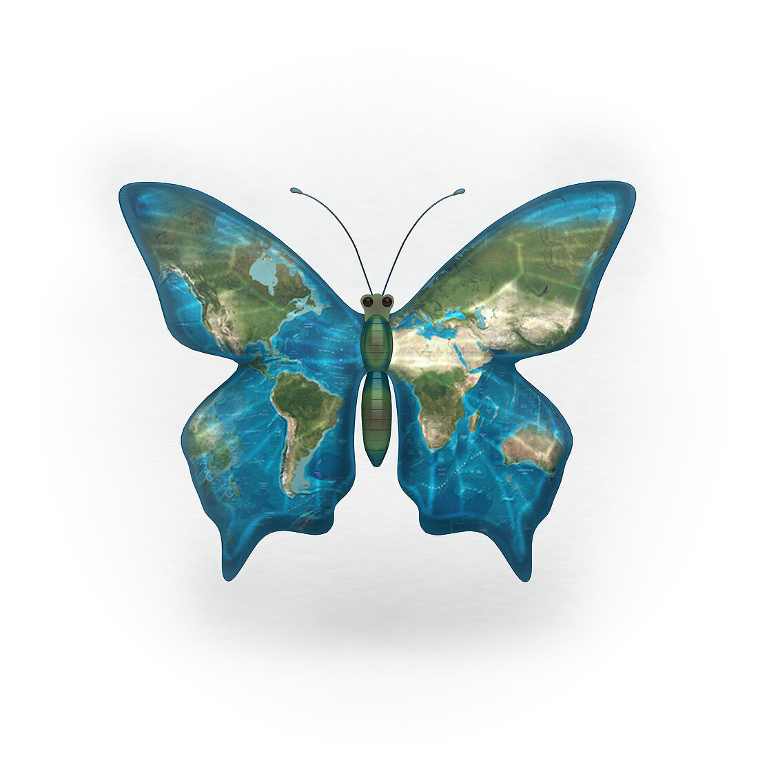Butterfly with world map on its wings, illustration