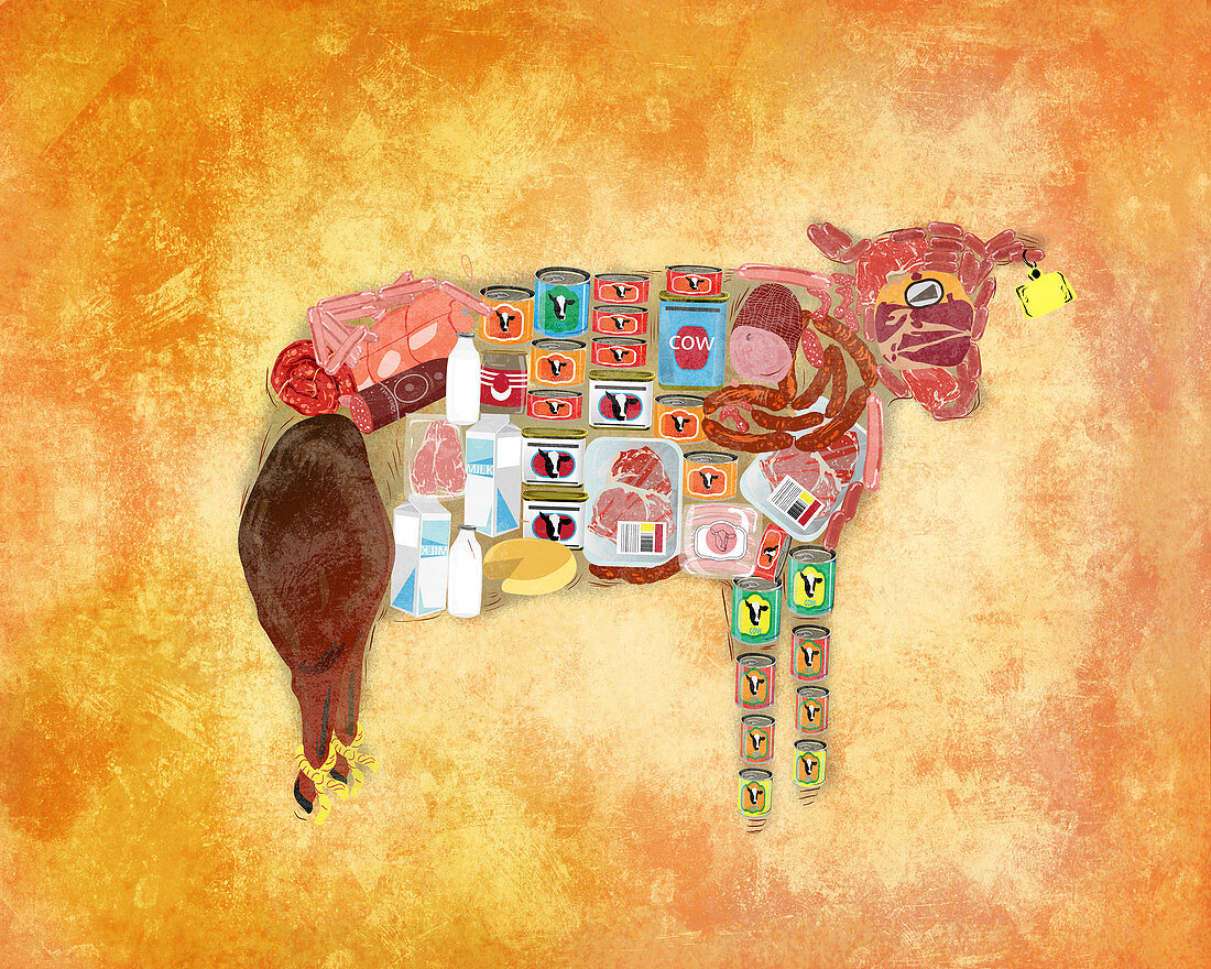 Illustration of cow with products over coloured background