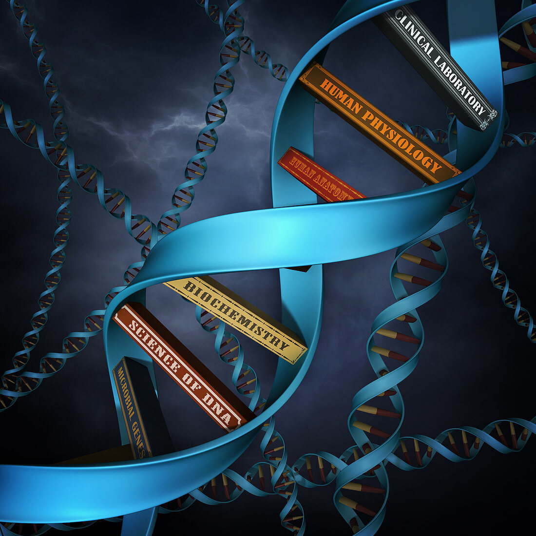 Illustration of DNA replica with books