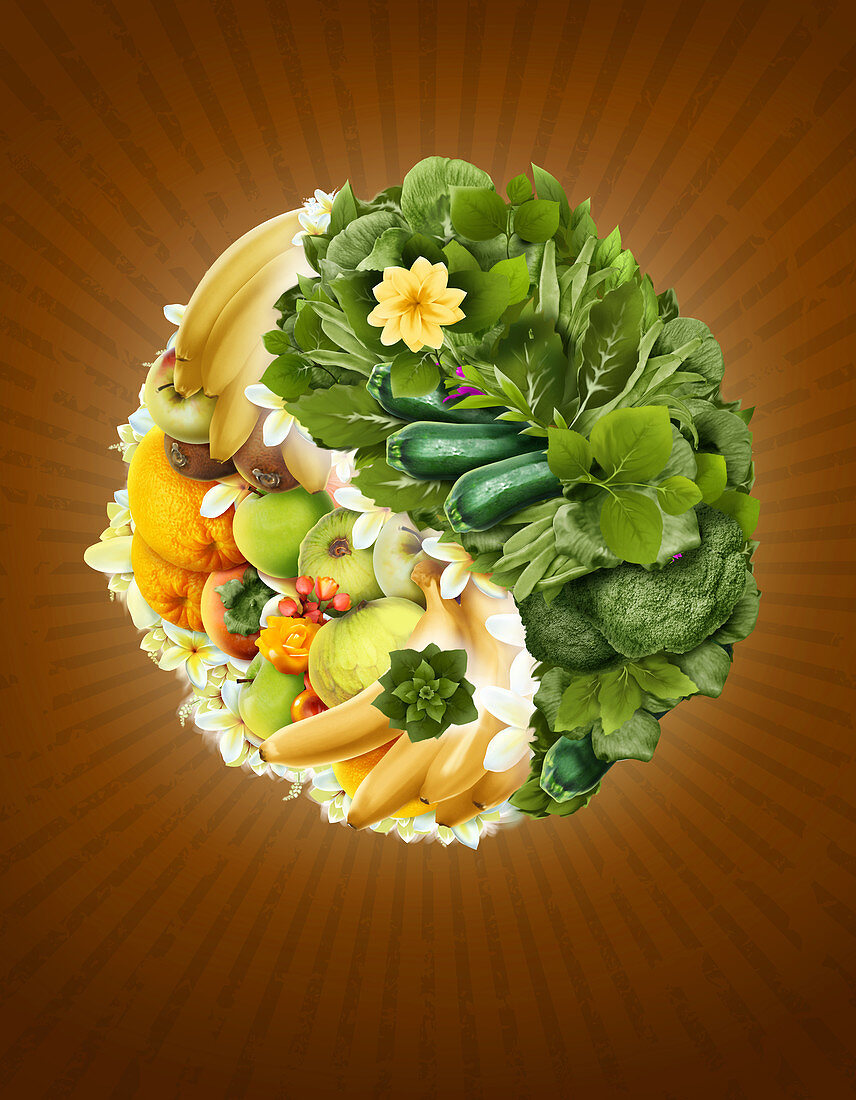 Illustration of fruits and vegetables in yin yang symbol