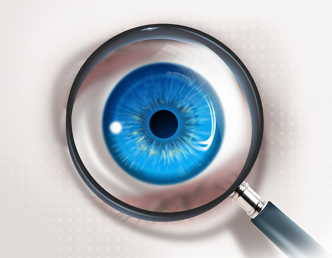 Illustration of magnifying glass and eye representing