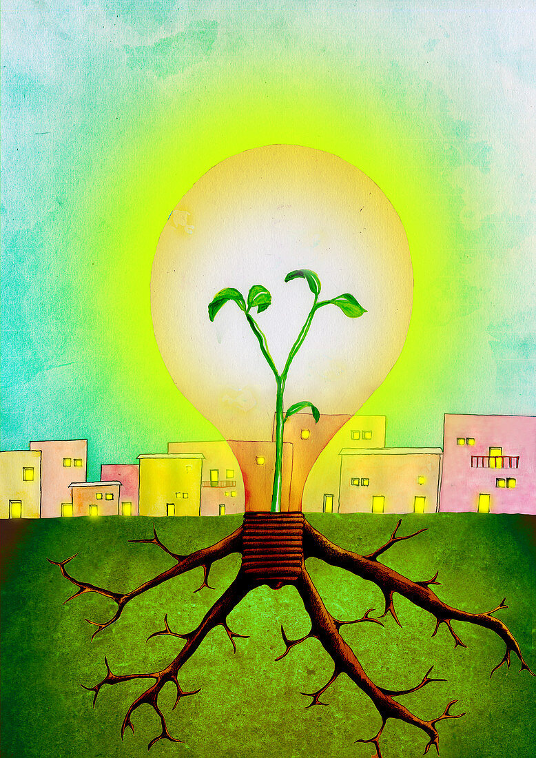 Plant growing inside of a light bulb, illustration