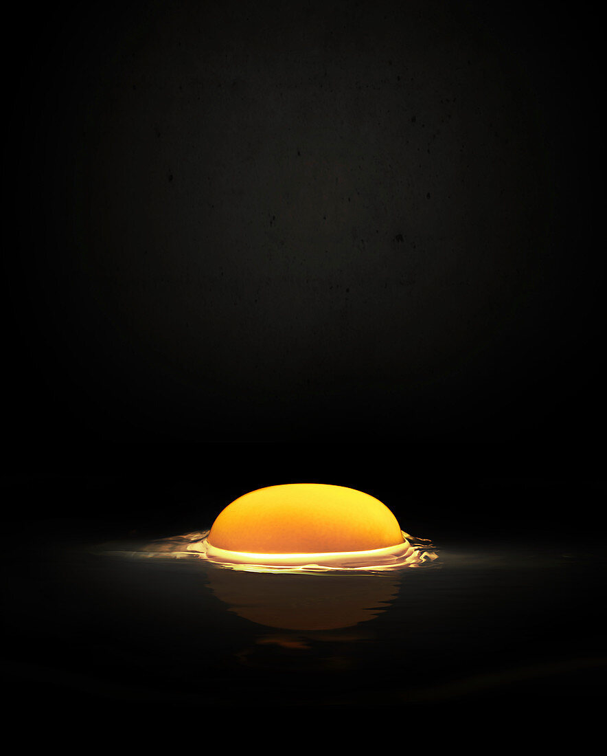 Raw egg yolk against black background