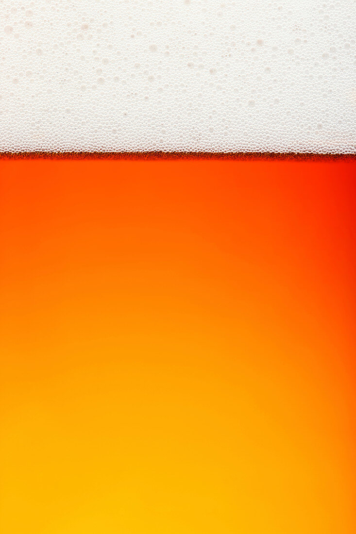 Beer and froth, close up