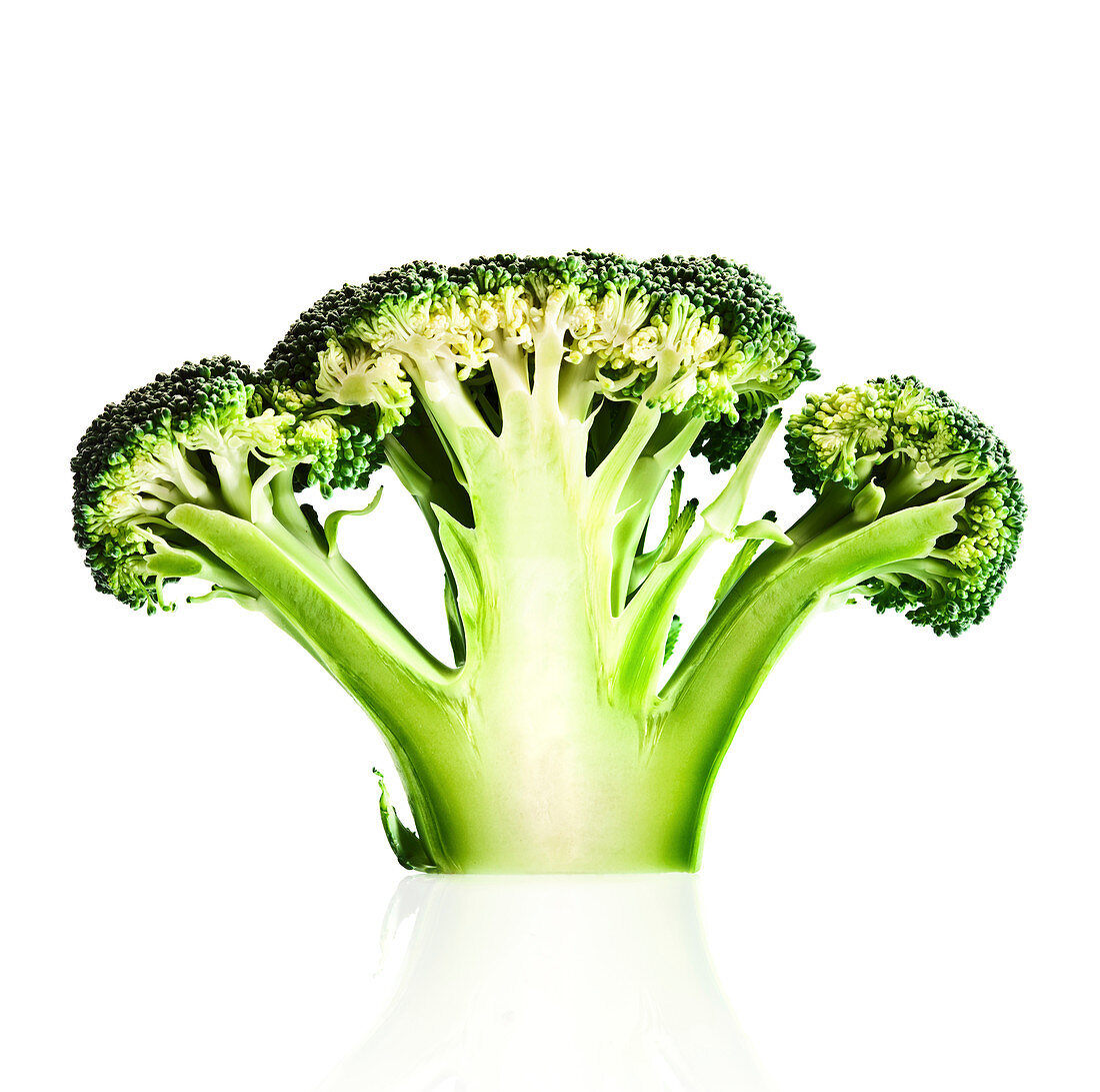 Broccoli against white background