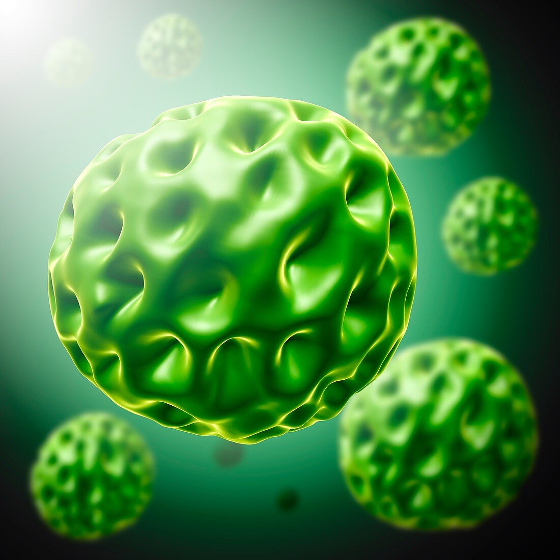Chlamydia bacteria, illustration