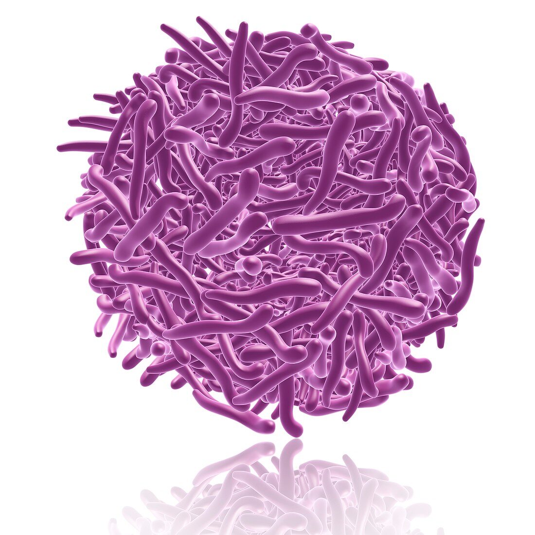 Densovirus virus particle, illustration
