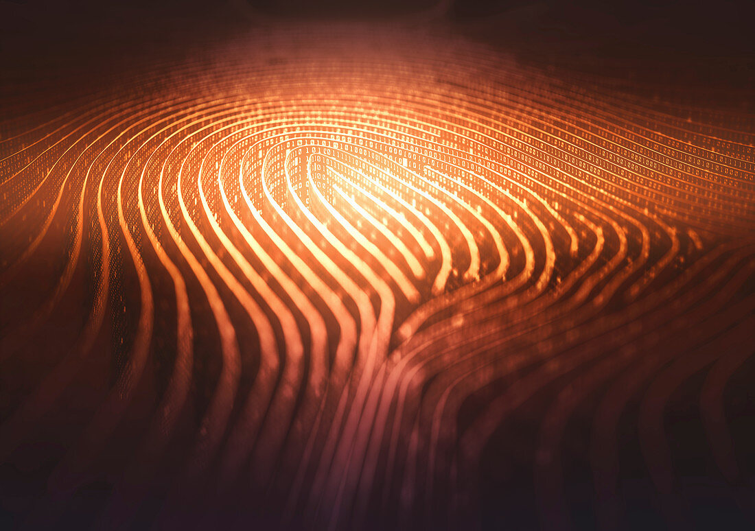 Fingerprint shape in binary code, illustration