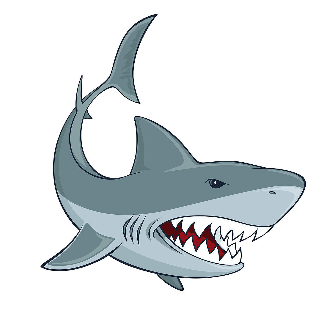 Angry shark, illustration