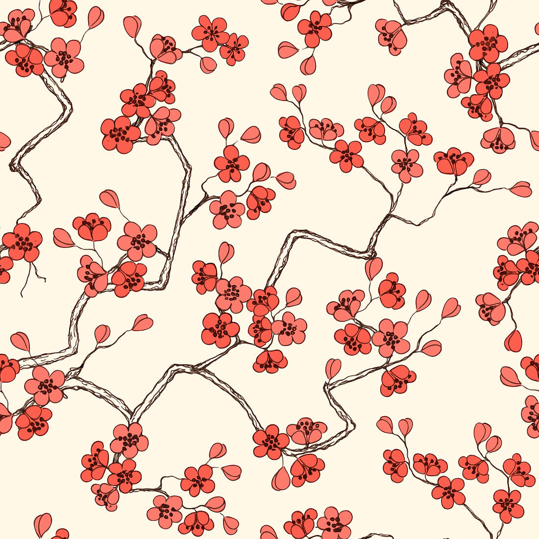Cherry blossom, illustration