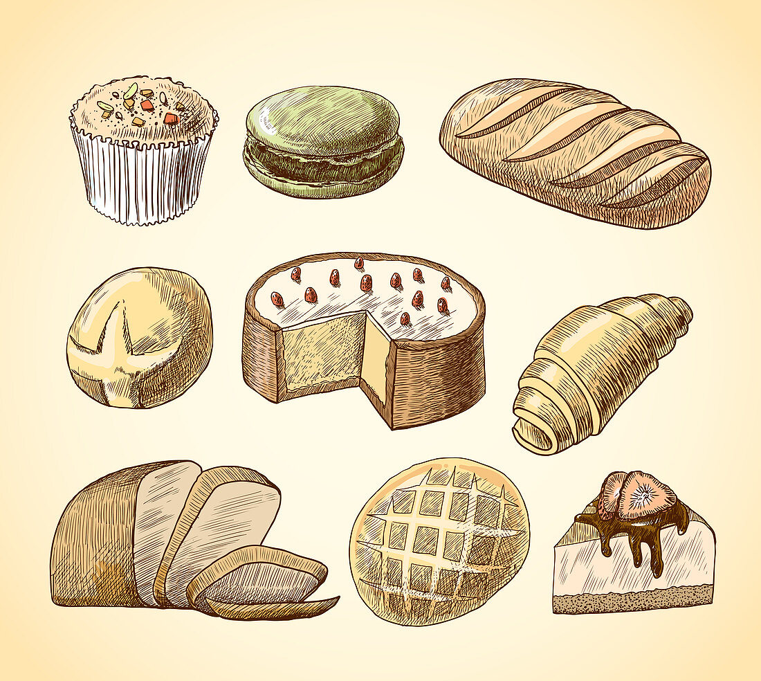 Bread and pastries, illustration
