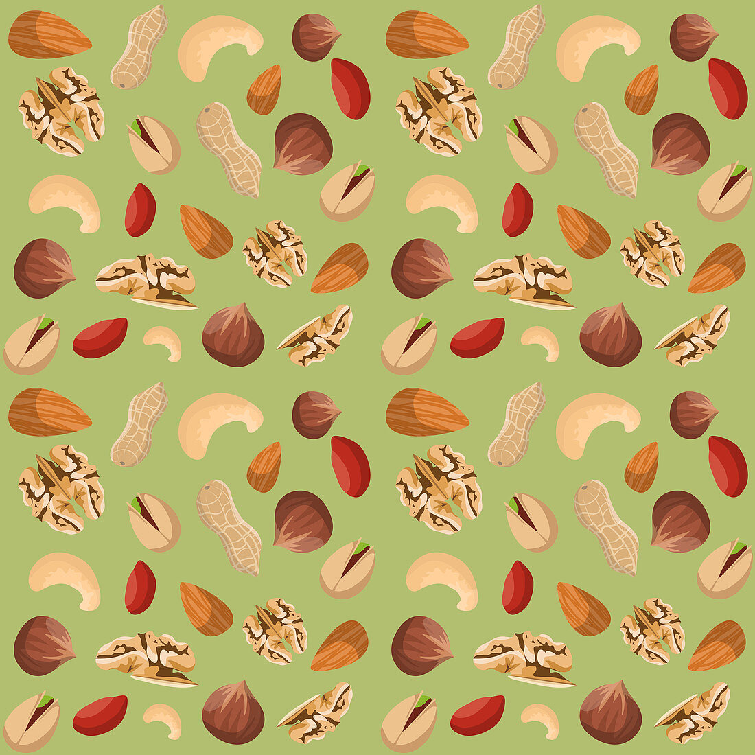 Nuts, illustration