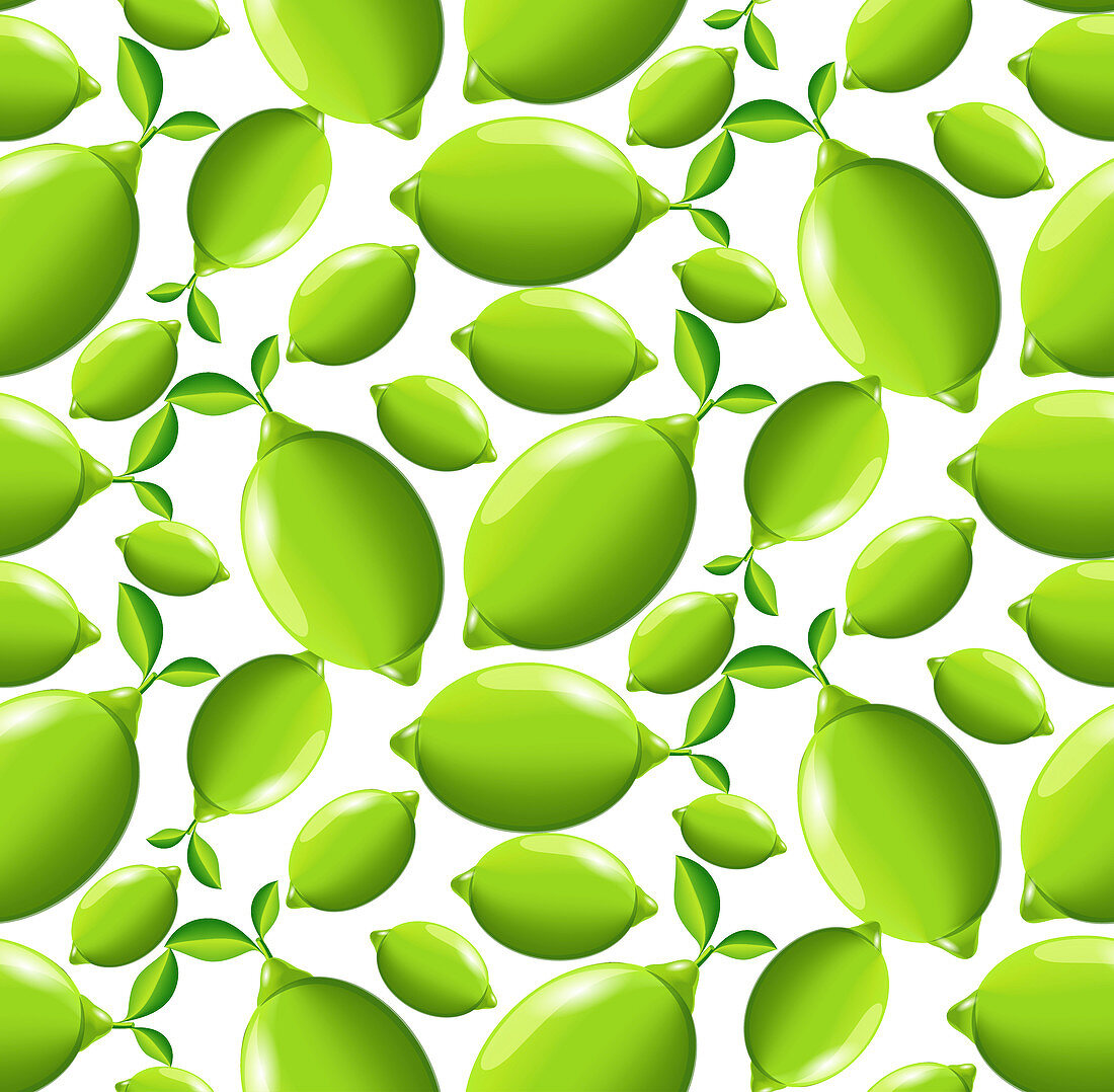 Limes, illustration