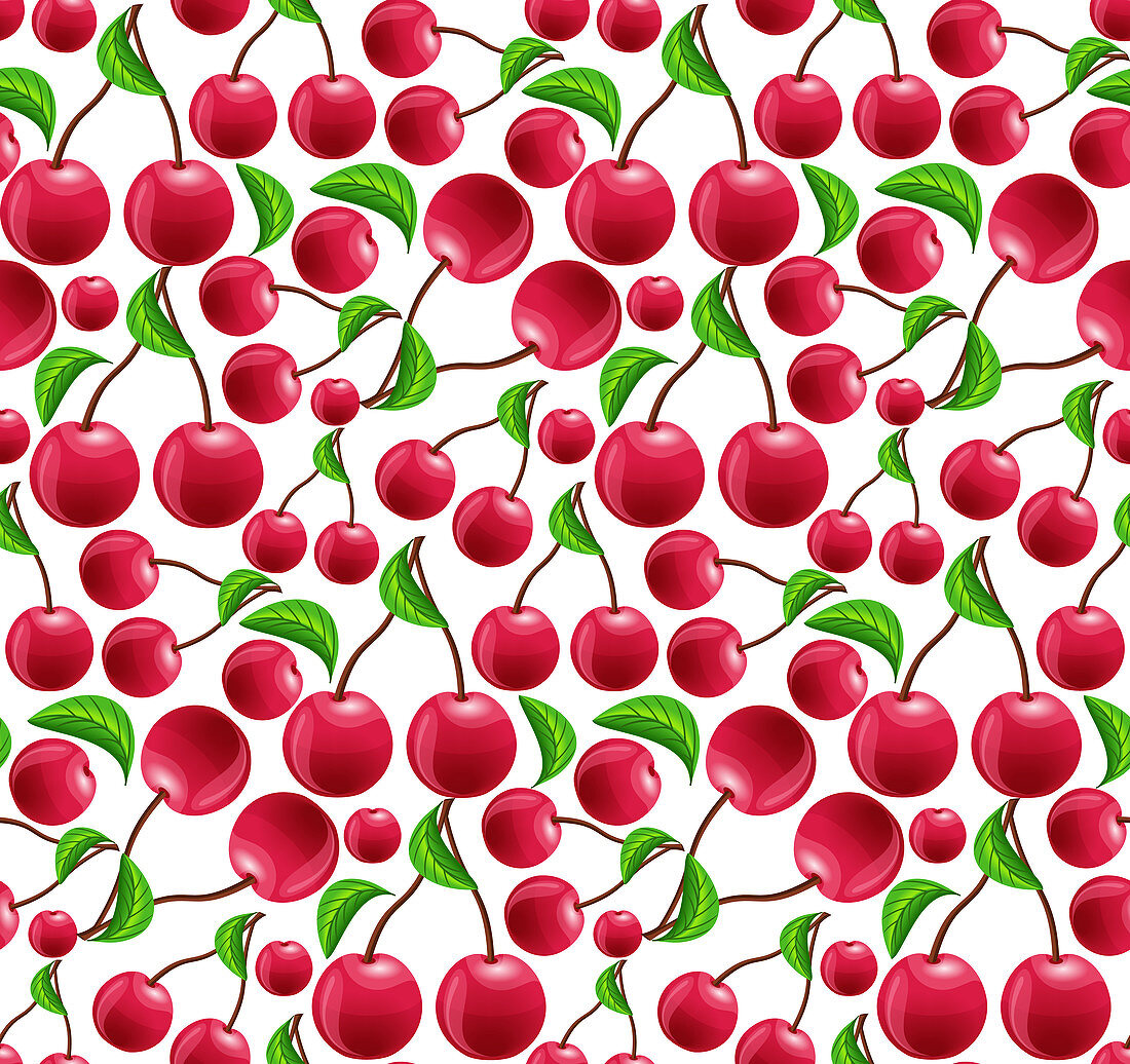 Cherries, illustration