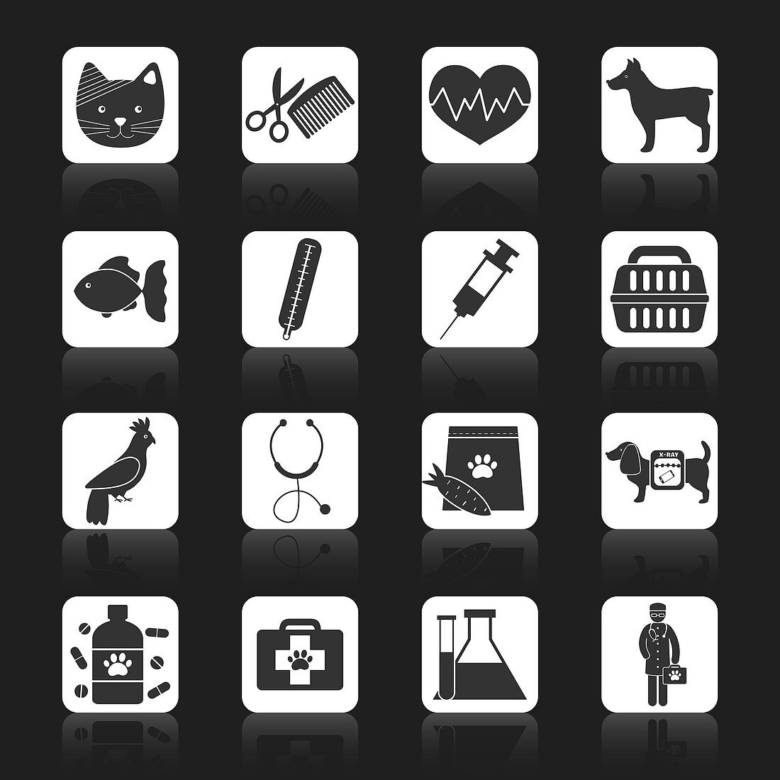 Veterinary icons, illustration