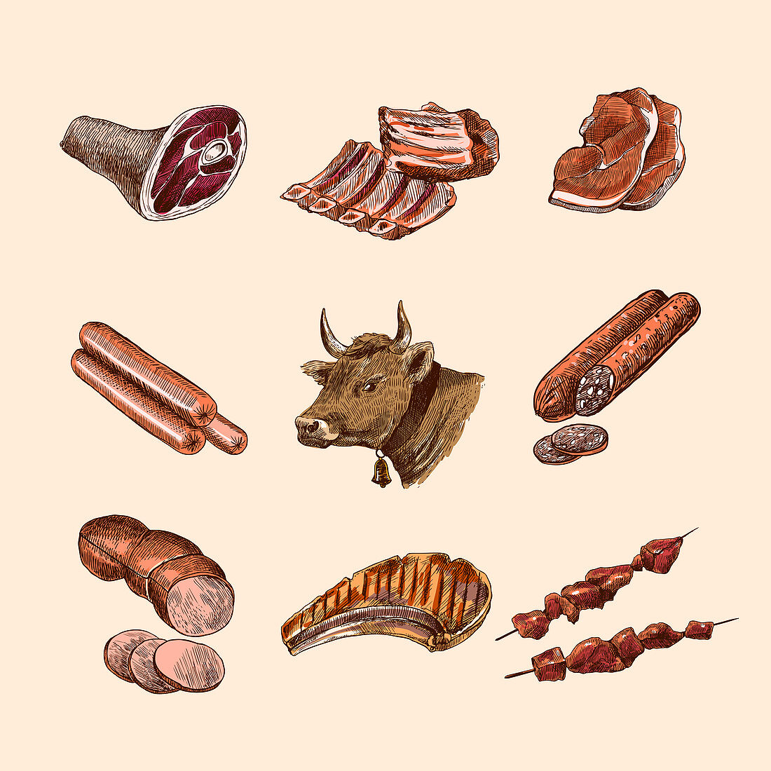 Meat products, illustration