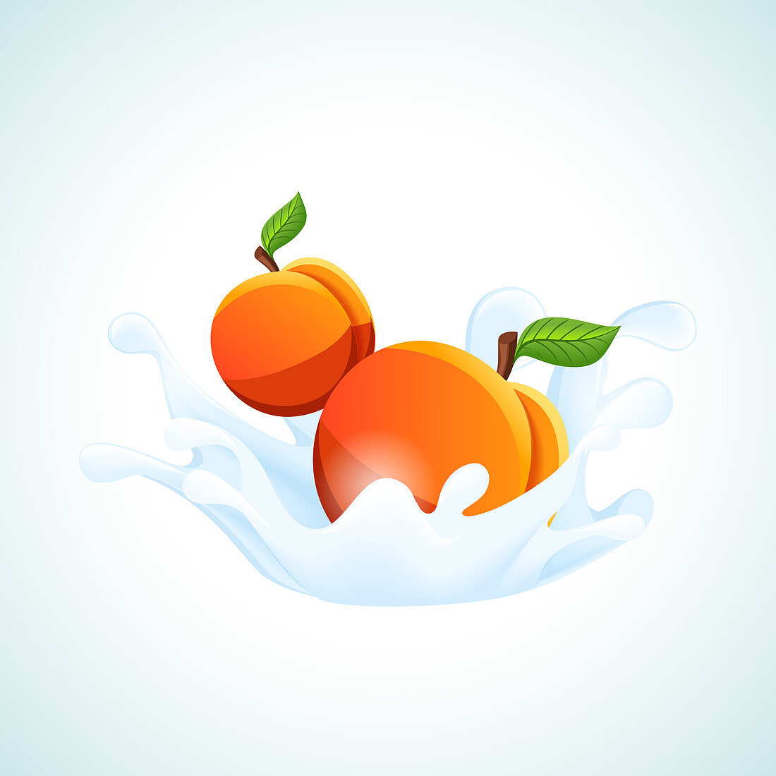 Apricots, illustration
