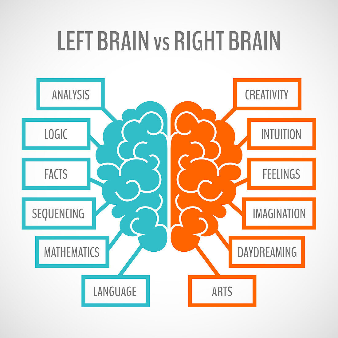 Left and right brain, illustration