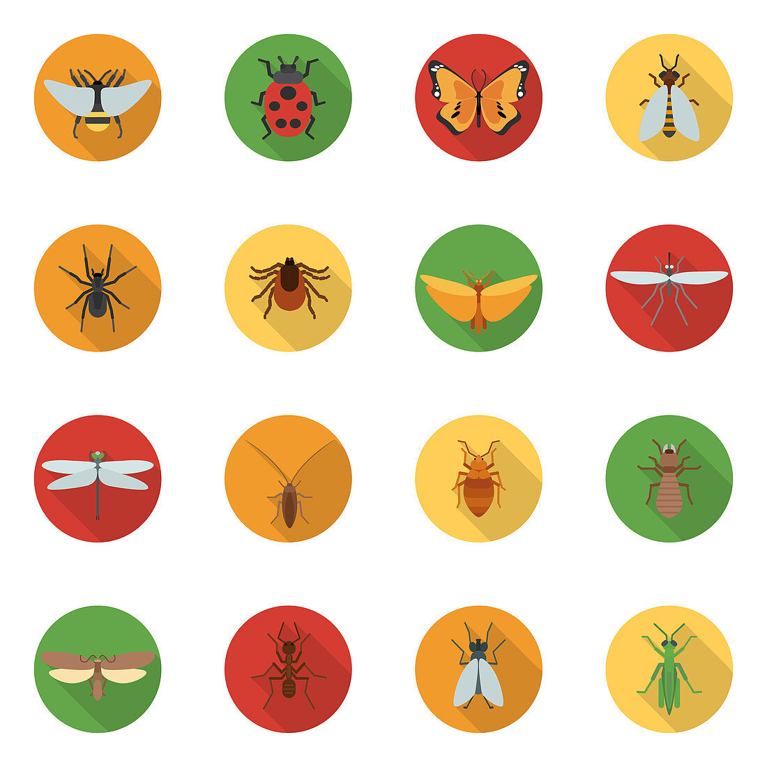 Insect icons, illustration