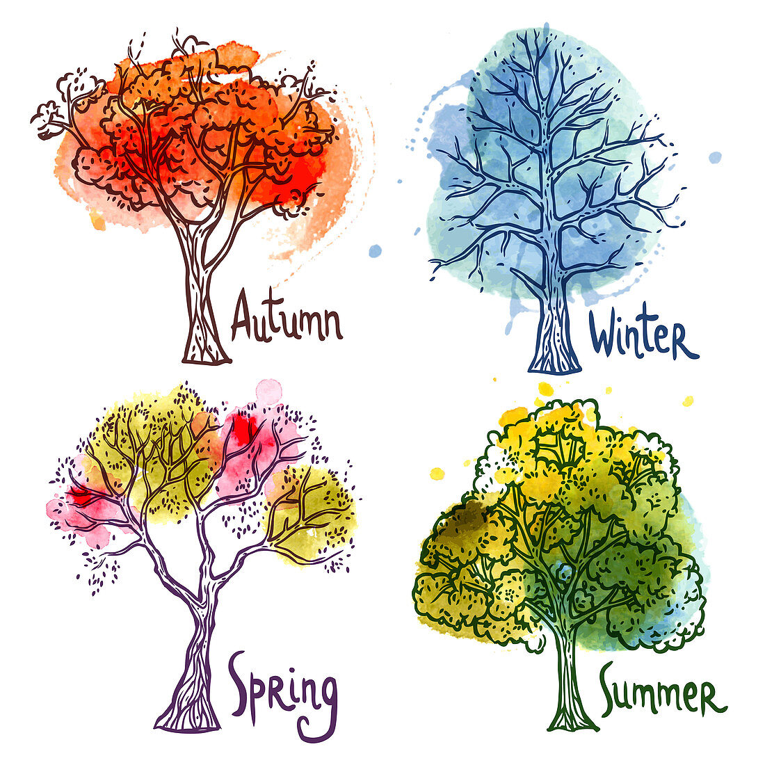 Four seasons, illustration
