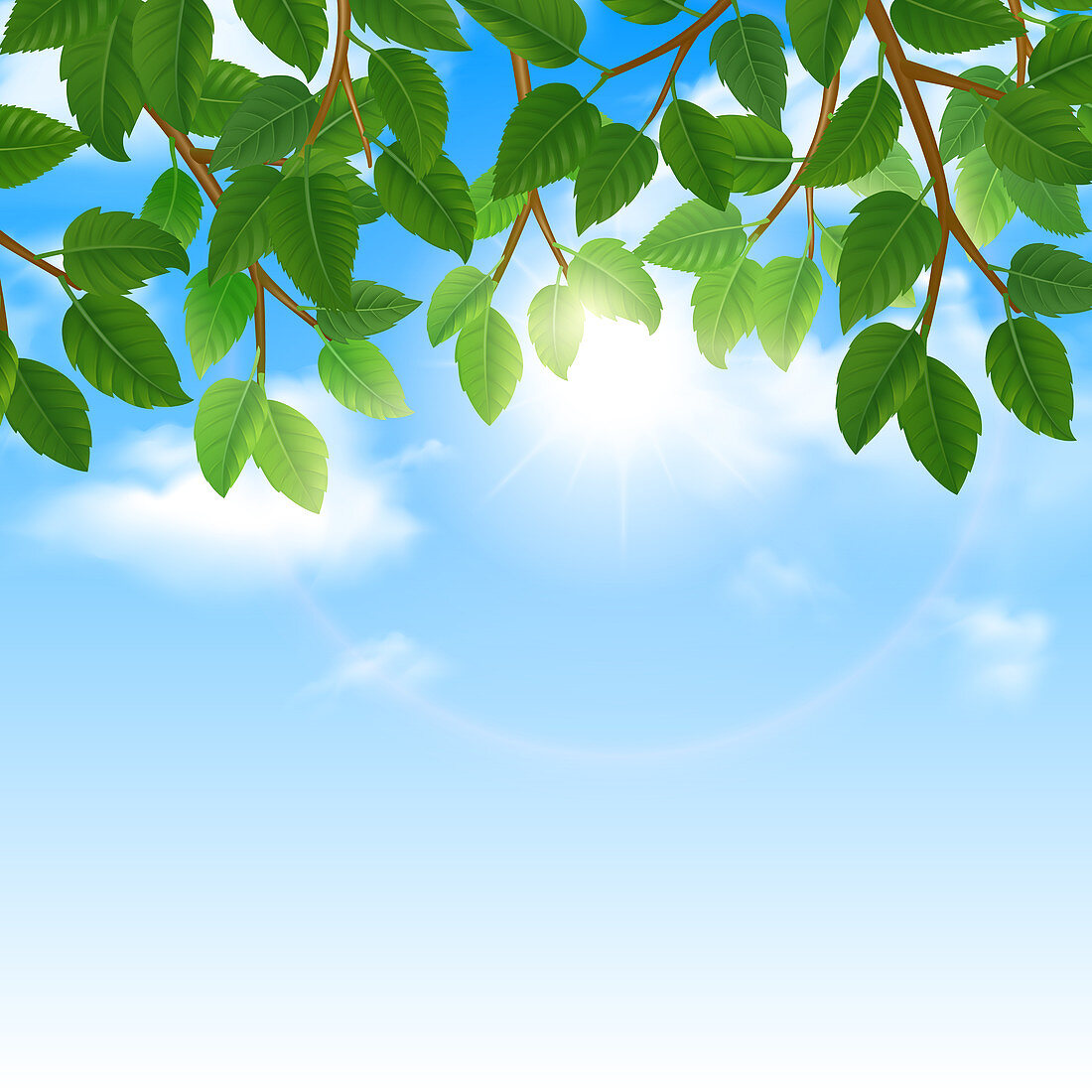 Blue sky and tree branches, illustration
