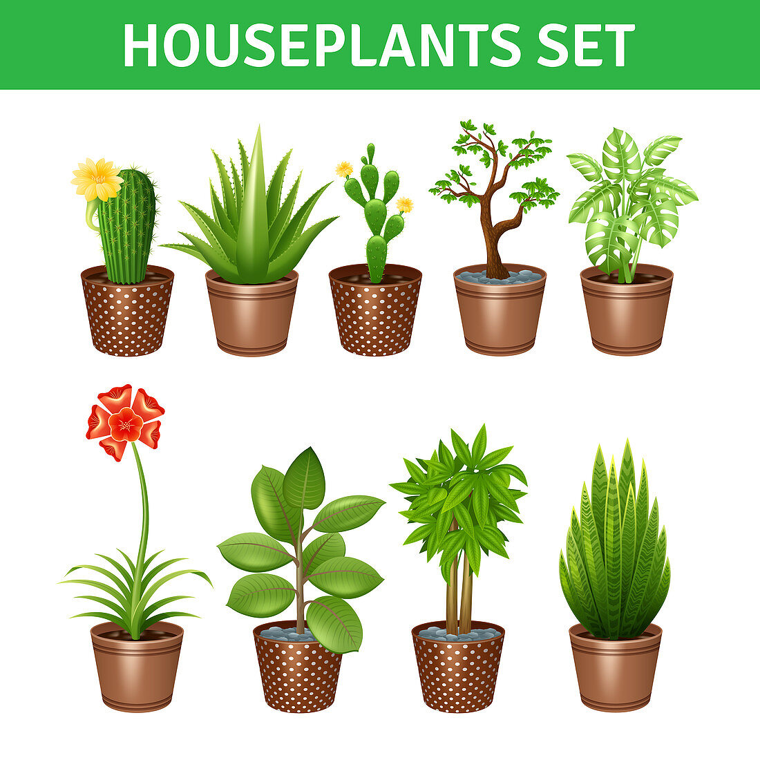 Houseplant icons, illustration