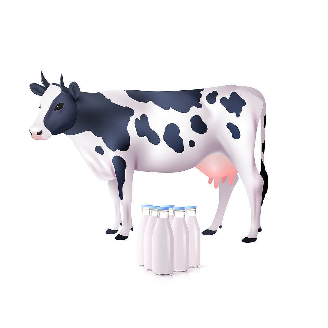 Milk, illustration
