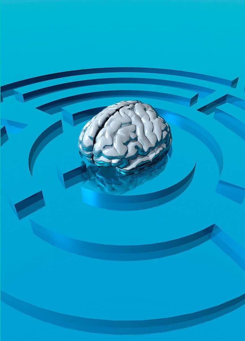 Human brain in maze