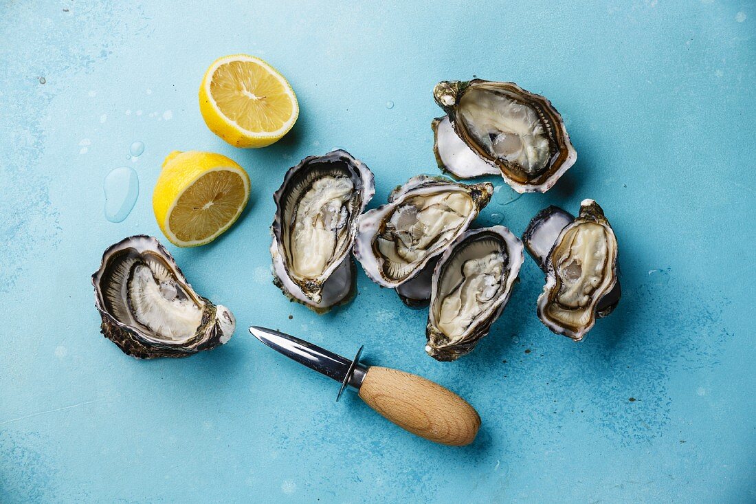 Open Oysters, lemon and knife on blue background