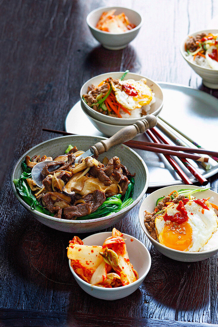 Koreanische Gerichte, Bibimbap (Hackfleisch, Reis und Ei) und Bulgogi (mariniertes Rindfleisch mit Pak Choi)