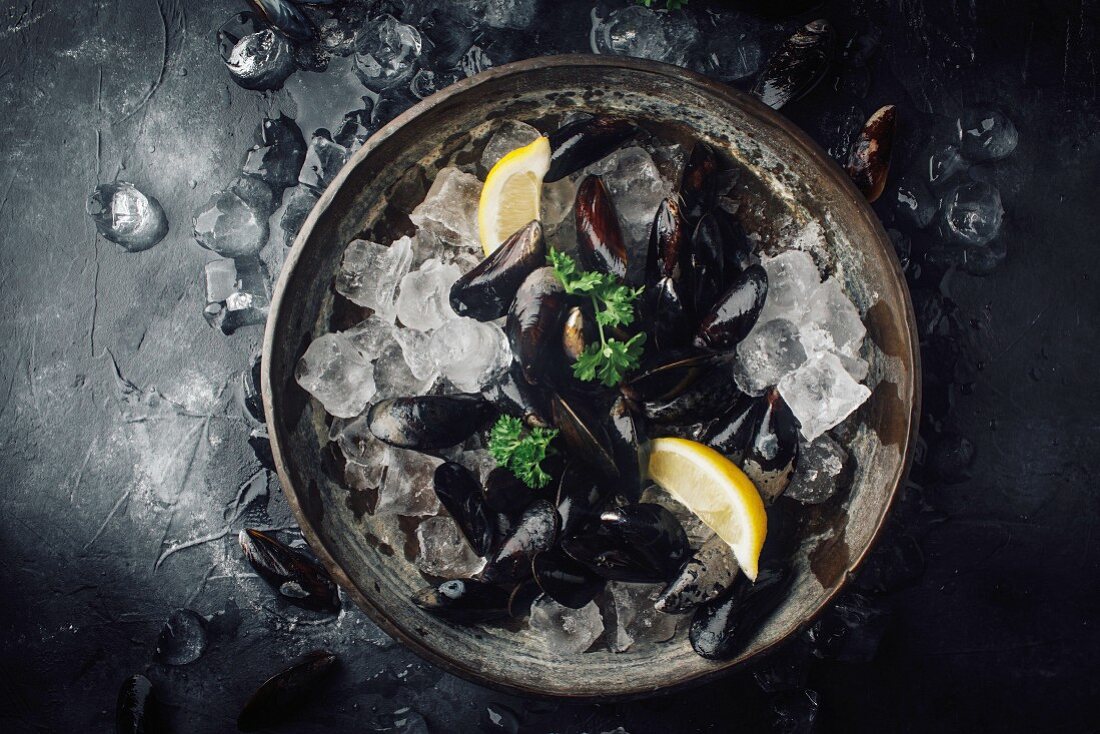 Raw mussels with parsley and lemon on ice