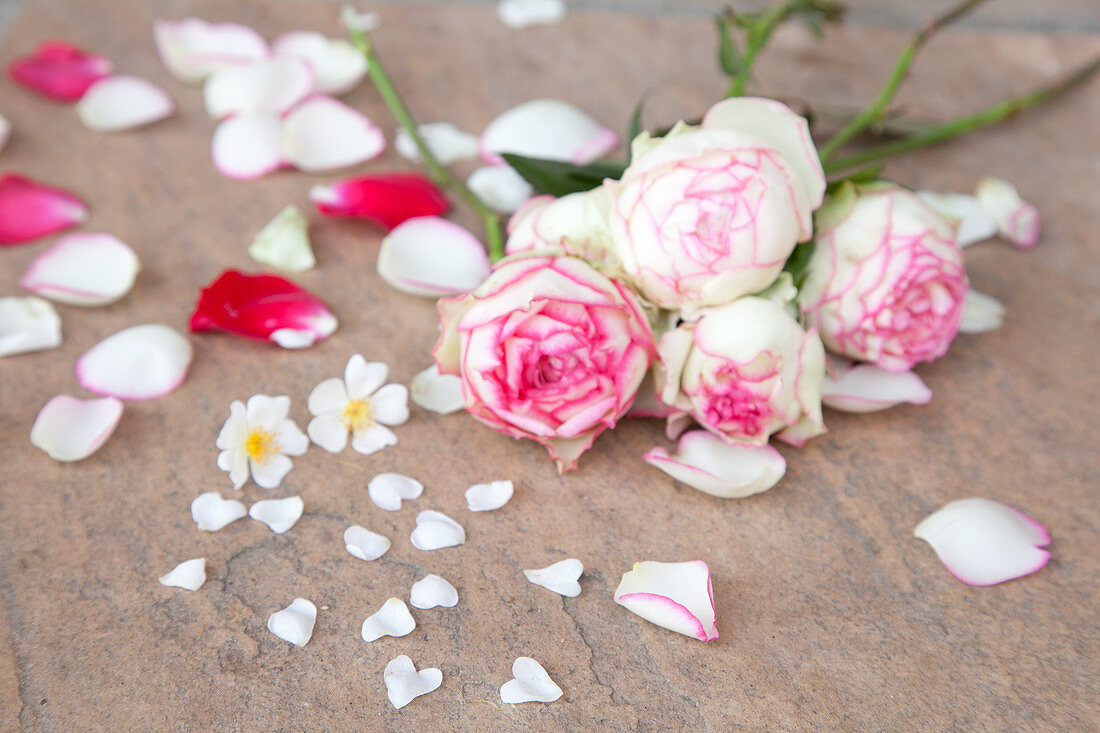 Roses and petals on stone surface