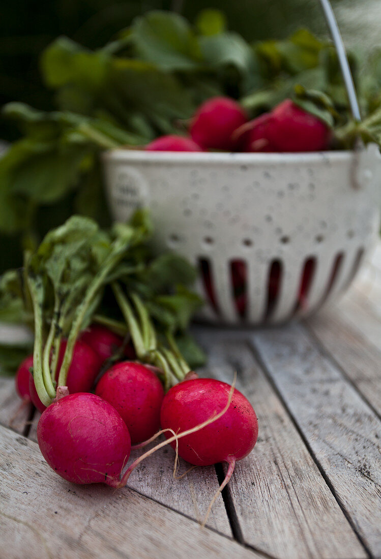 A bunch of radishes in a white speckled basket on an outdoor table with tall grasses behind