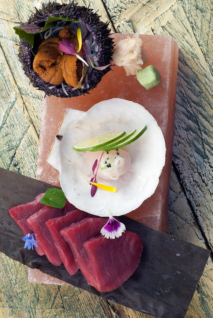 Thunfisch, Jakobsmuschel und Seeigel auf rosa Salzblock (Japan)