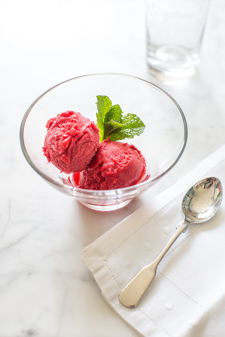 Raspberry sorbet with mint leaves