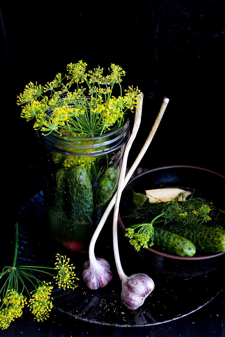 Zutaten zum Einmachen von Gurken: Einlegegurken, Dill und Knoblauch