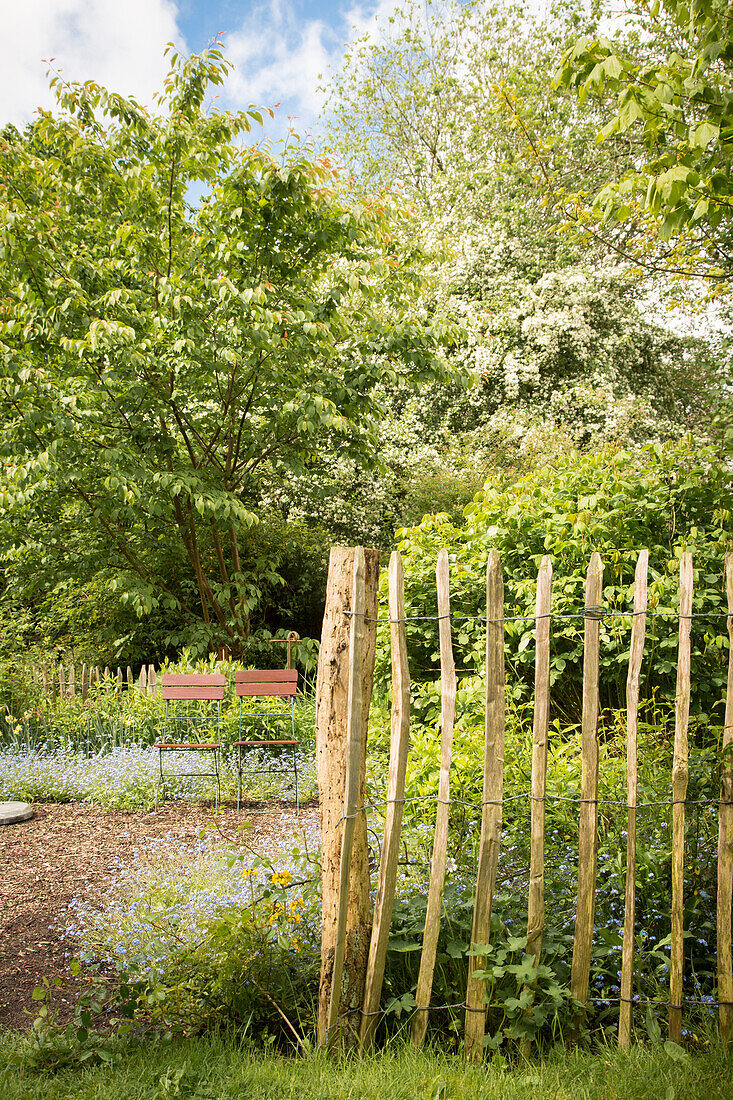 Chestnut paling fence and folding chairs next to vegetable patch in garden in early summer