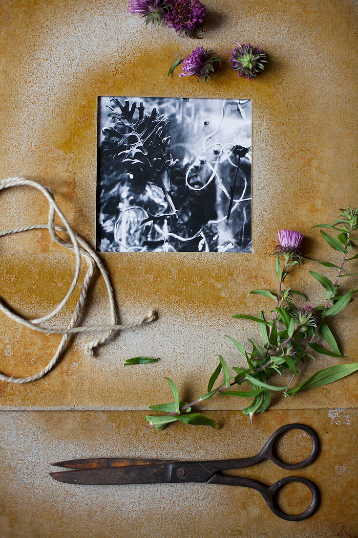 Black-and-white photo in hand-made frame, flowers, vintage scissors and yarn