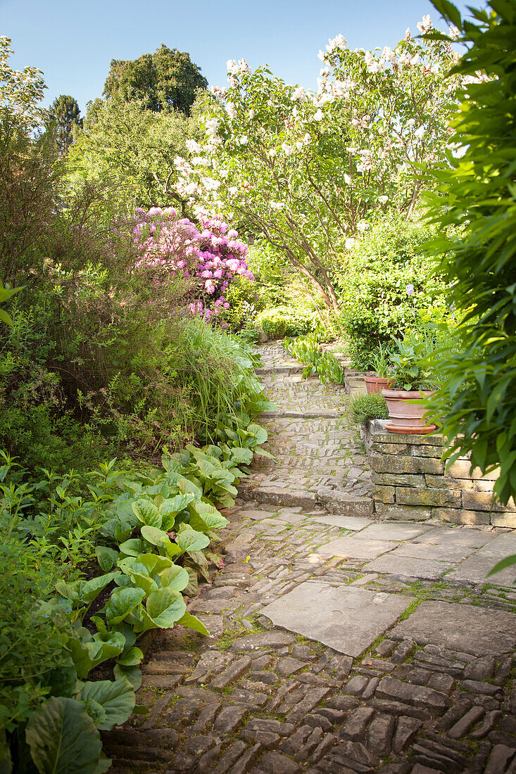 Natursteinweg mit Treppe führt durch dicht bepflanzten sommerlichen Garten
