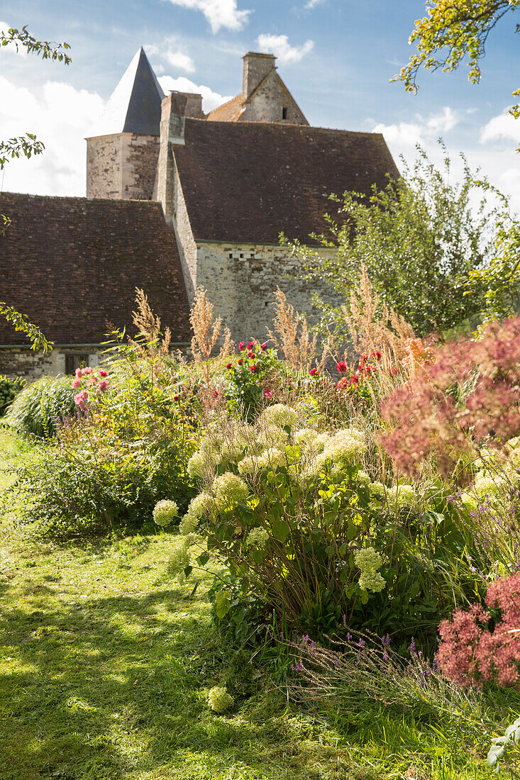 Grasses and shrubs in cottage garden outside old stone house