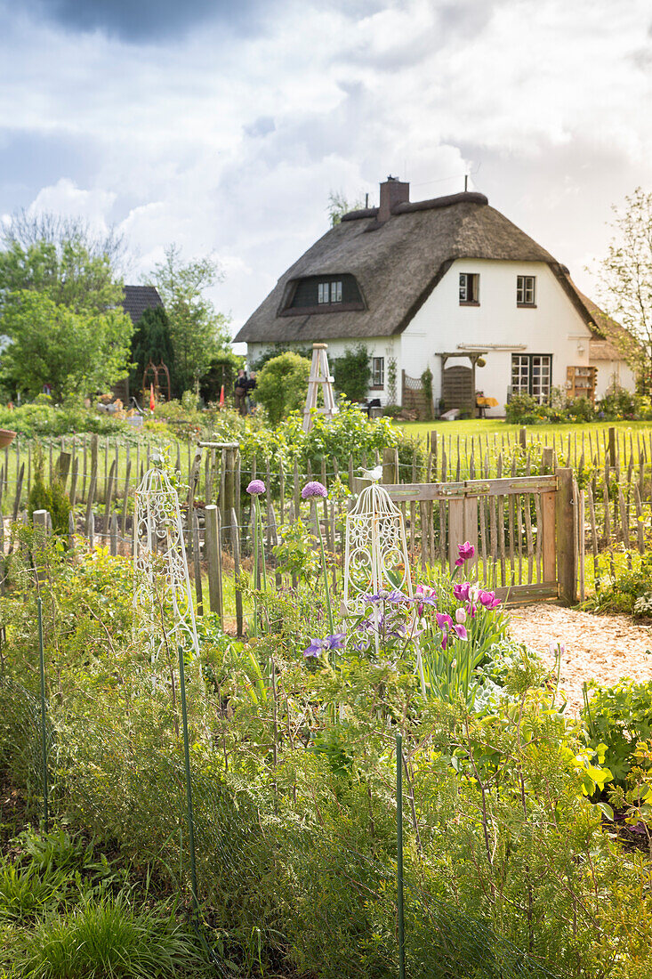 Fenced garden area with thatched house in background (Schleswig-Holstein, northern Germany)