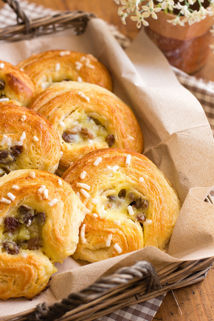 Pain aux raisins with sugar nibs