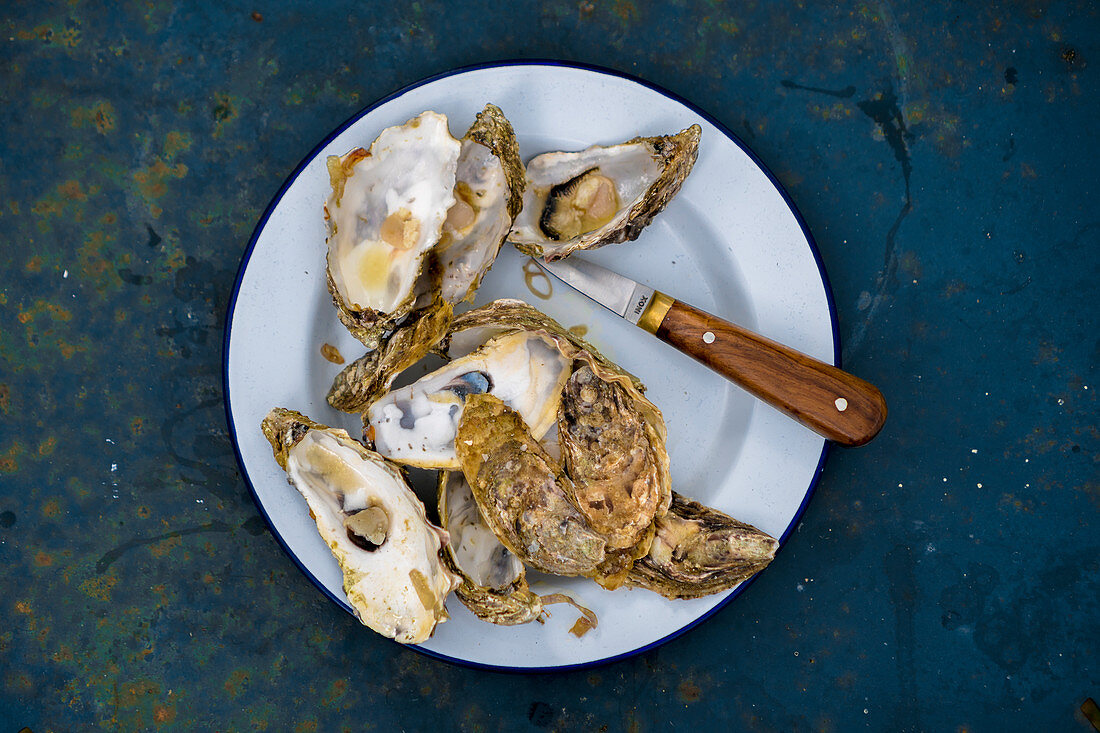 Gratinated oysters on a plate with a knife