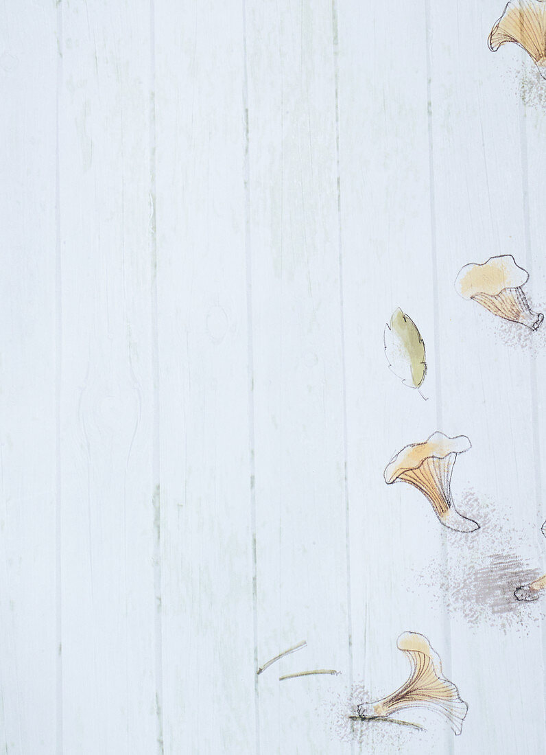 Pictures of mushrooms on a white wooden surface