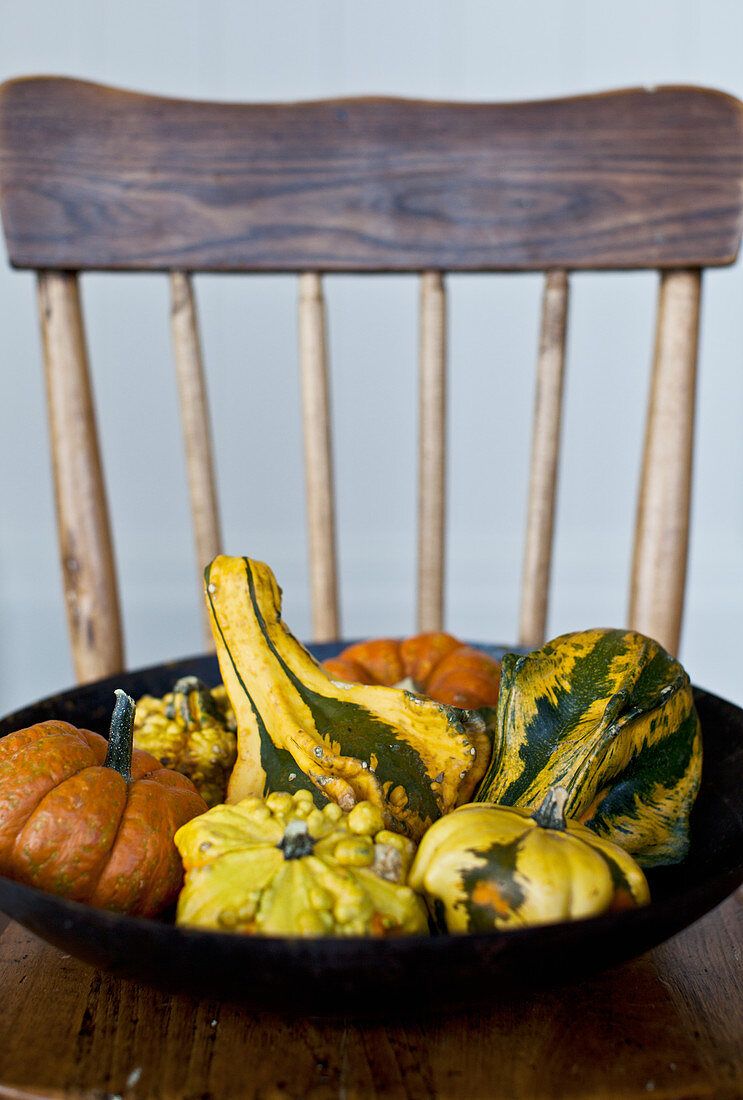A black bowl filled with pumpkins and gourds on an antique wooden chair