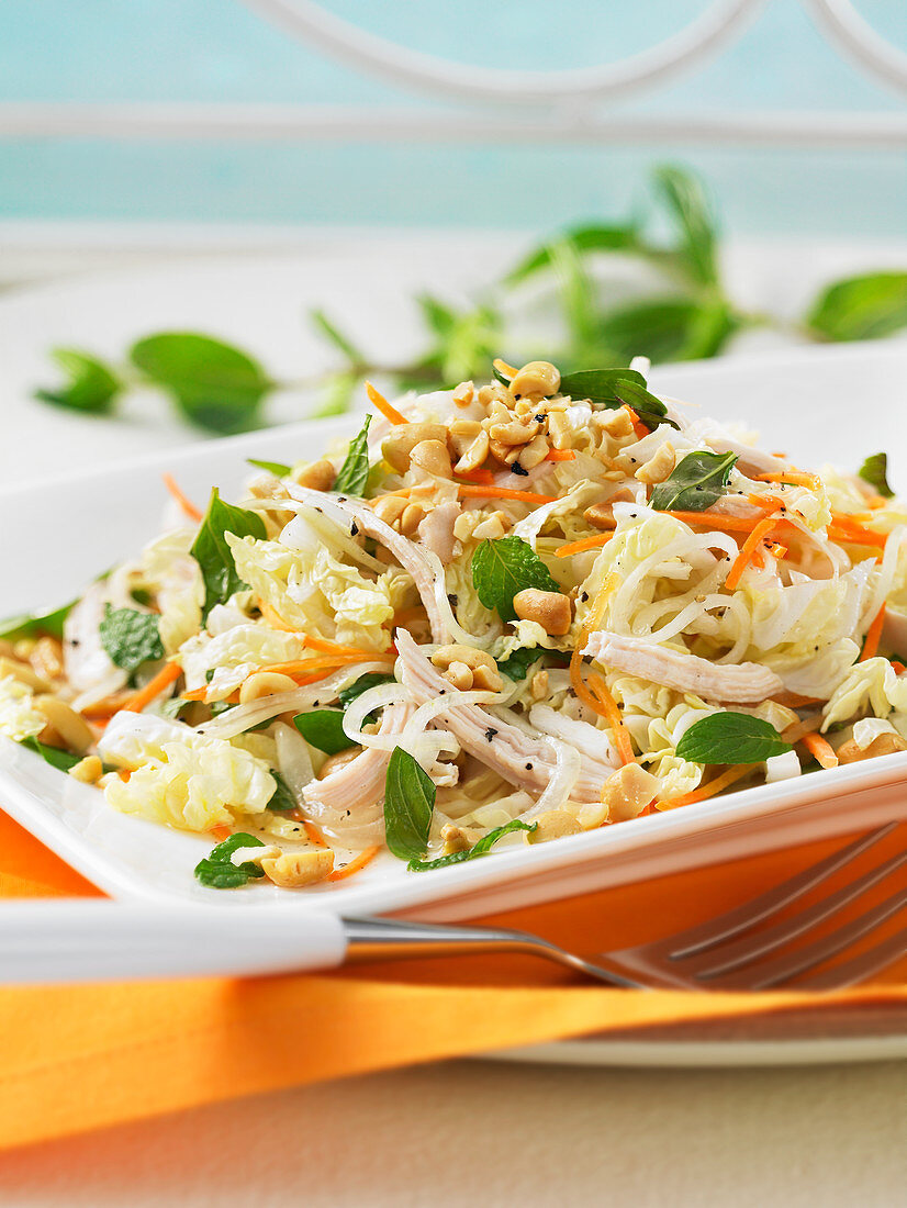 Chicken, cabbage and noodle salad