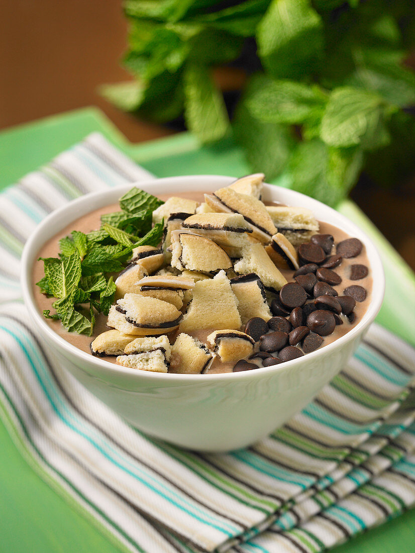 Chocolate mint smoothie in a bowl