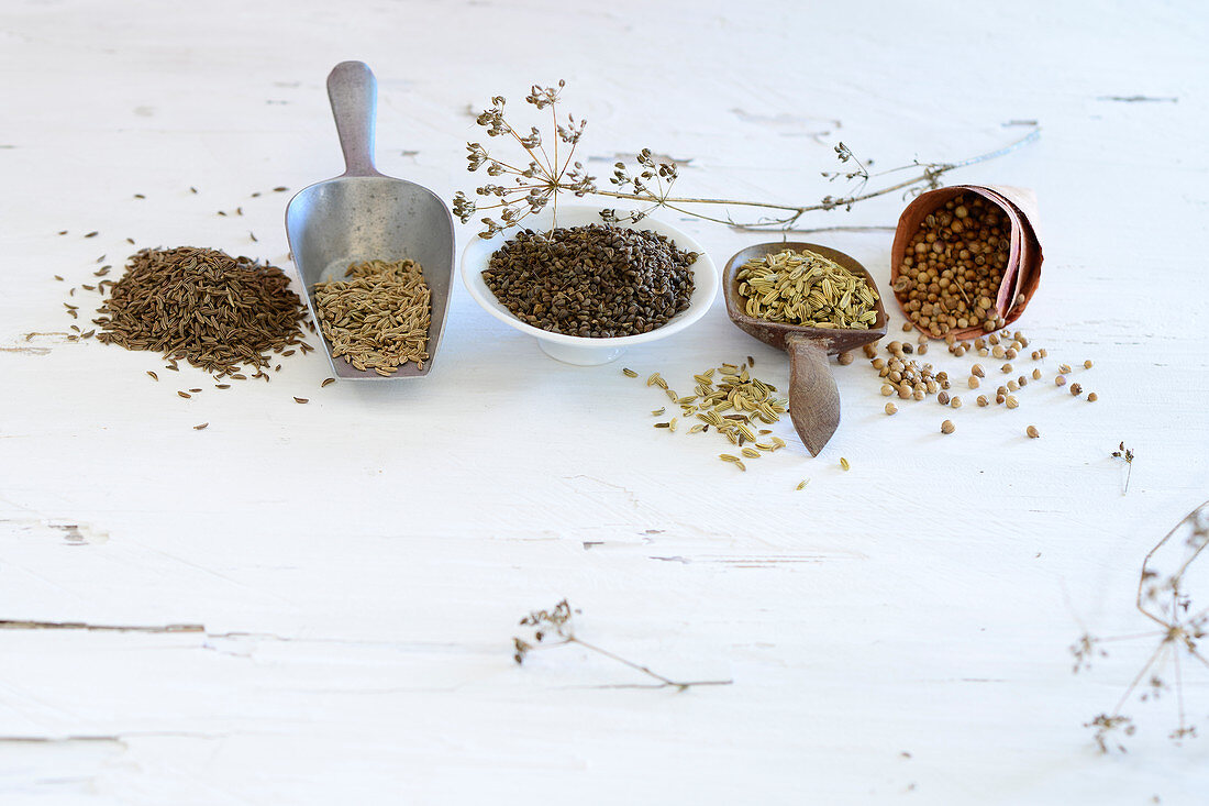 Various spices (umbellifers)