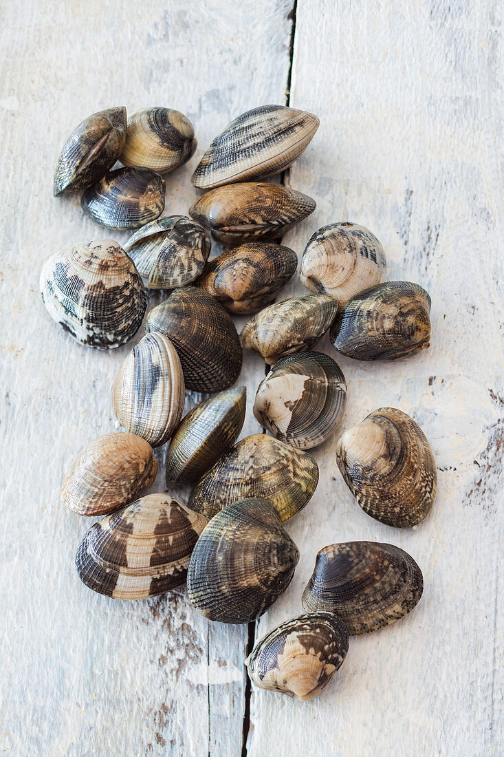 Venus clams on a wooden surface
