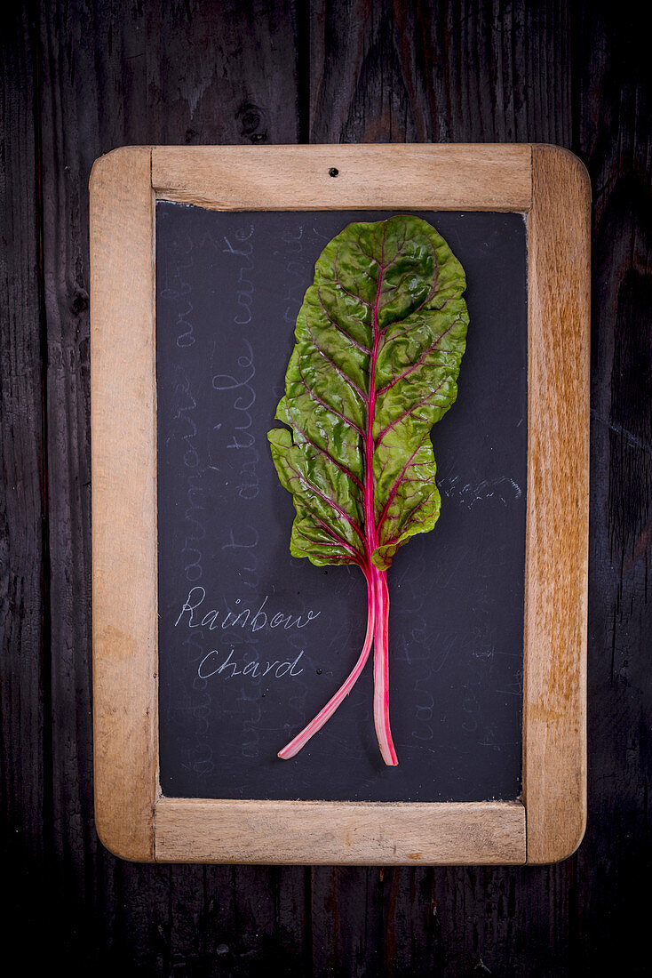 Rainbow Chard on a slate